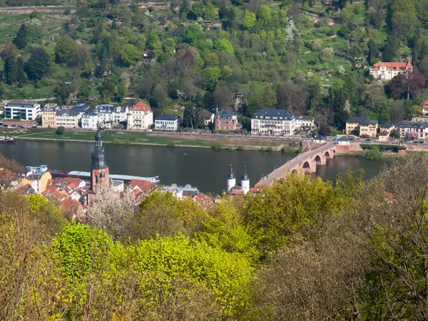 City view from the Koenigstuhl — Stock Photo, Image