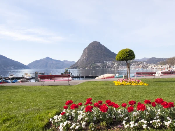 Lugano, trädgård vid sjön — Stockfoto