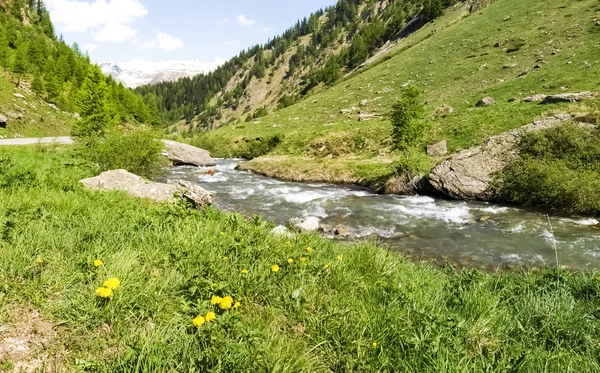 Aegina River tributary of the River Rhone — Stock Photo, Image