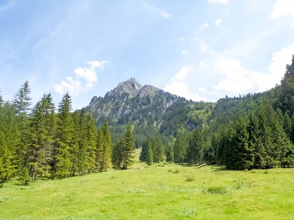 Allgäuer Panorama, Berge und grüne Wiesen — Stockfoto