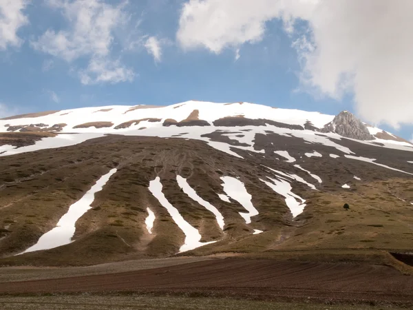 Castelluccio di Norcia gran plan —  Fotos de Stock