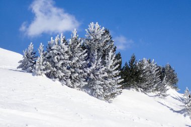 Casaccia, İsviçre: Kış manzarası, Lareccio kanalları ve Kolombiya geçidi