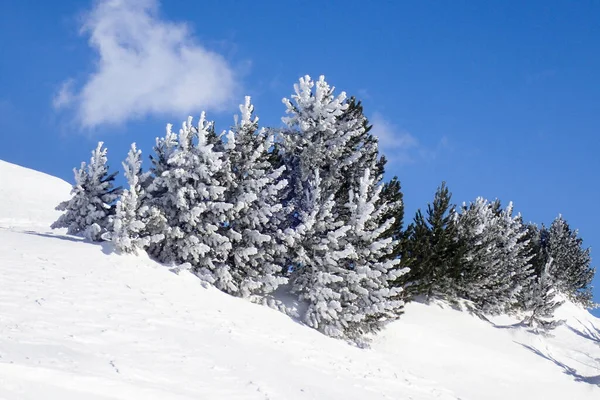 Casaccia Szwajcaria Krajobraz Zimowy Kanały Lareccio Przełęcz Colombe — Zdjęcie stockowe