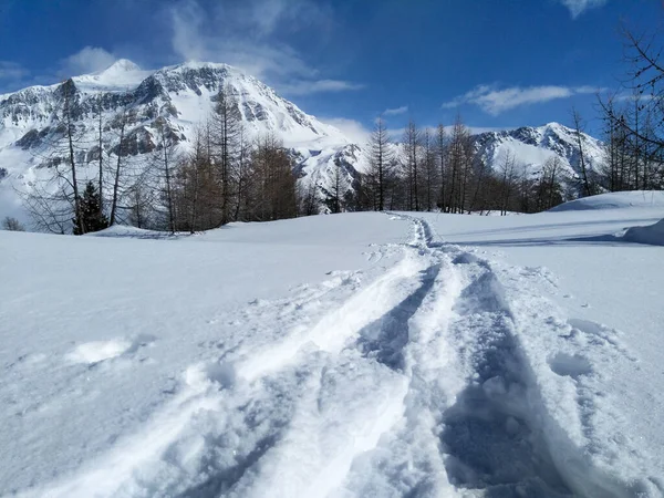 Casaccia Suisse Paysage Hivernal Canaux Lareccio Col Colombe — Photo