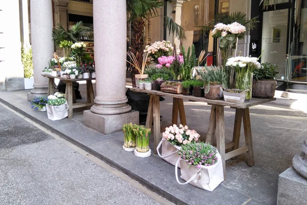 Lugano Sviçre Şehir Sokaklarında Satılık Süs Çiçekleri — Stok fotoğraf