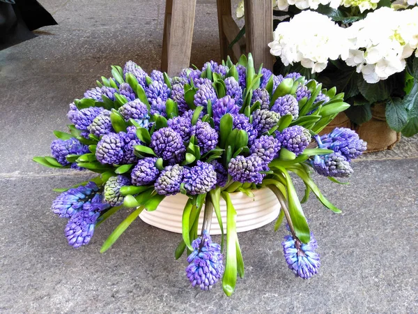 Lugano Switzerland Ornamental Flowers Sale City Streets — Stock Photo, Image