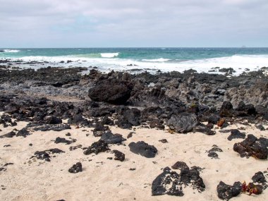 Lanzarote, İspanya: Caleta del Mojn Blanco, beyaz kum ve lav kayaları
