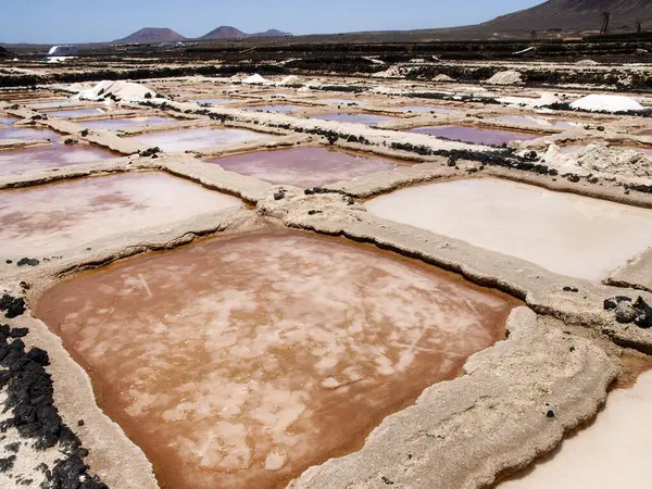 Lanzarote Espanha Sais Secagem Céu Aberto Longo Costa Ilha — Fotografia de Stock