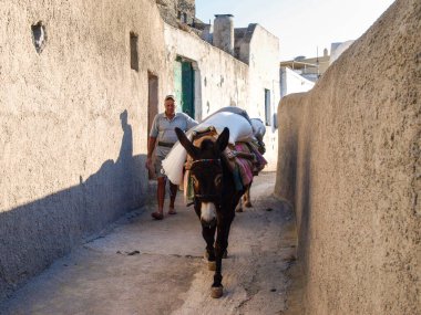 Santorini, Yunanistan - 25 Eylül 2017: Yunan kültürünün tipik taşıyıcı katırı