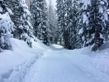 Schamserberg, İsviçre: Schamserberg ve Piz Beverin doğa parkının kış manzarası.