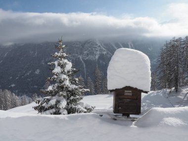 Schamserberg, İsviçre - 16 Ocak 2021 Schamserberg ve Piz Beverin doğa parkının kış manzarası.