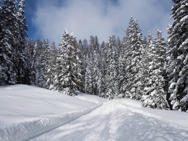 Schamserberg, İsviçre: Schamserberg ve Piz Beverin doğa parkının kış manzarası.