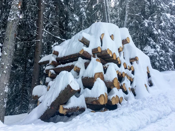 Schamserberg Suisse Paysage Hivernal Parc Naturel Schamserberg Piz Beverin — Photo