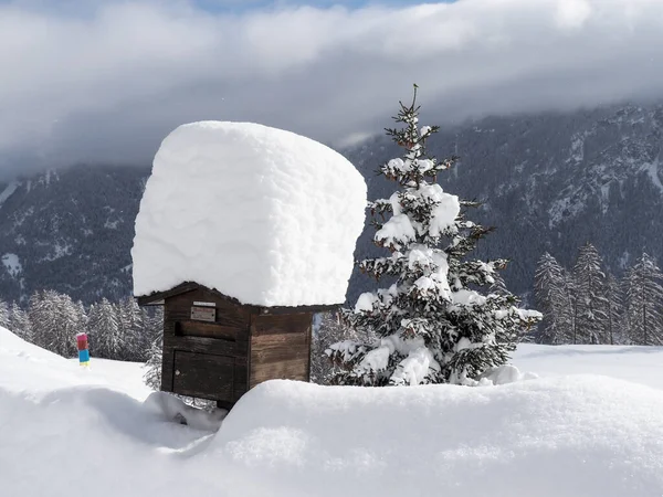 Schamserberg Suisse Janvier 2021 Paysage Hivernal Parc Naturel Schamserberg Piz — Photo