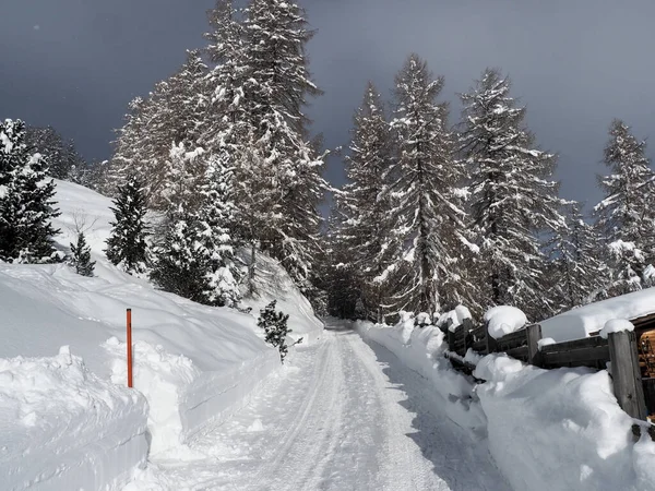 Schamserberg Switzerland Winter Landscape Schamserberg Piz Beverin Nature Park — 图库照片