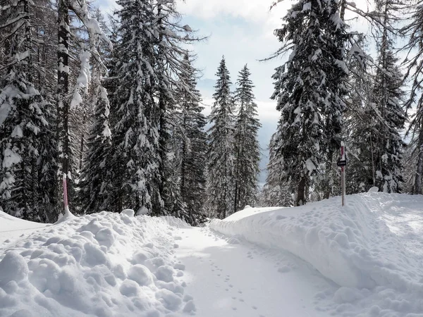 スイスのSchamserberg SchamserbergとPiz Beverin自然公園の冬の風景 — ストック写真