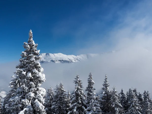 Schamserberg Schweiz Vinterlandskap Schamserberg Och Piz Beverin Naturpark — Stockfoto