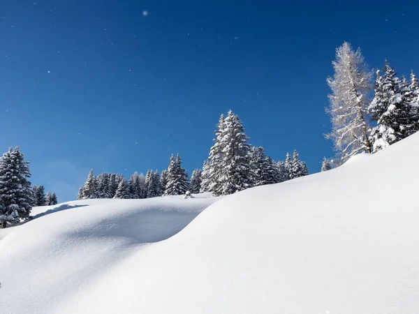 Schamserberg Schweiz Vinterlandskap Schamserberg Och Piz Beverin Naturpark — Stockfoto