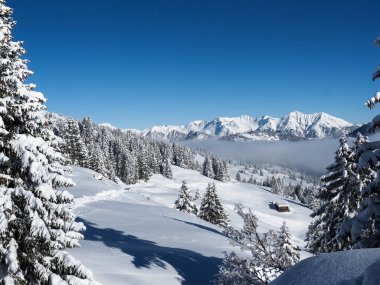 Schamserberg, İsviçre: Schamserberg ve Piz Beverin doğa parkının kış manzarası.