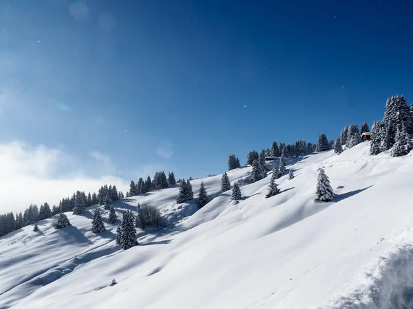 Schamserberg Švýcarsko Zimní Krajina Přírodního Parku Schamserberg Piz Beverin — Stock fotografie