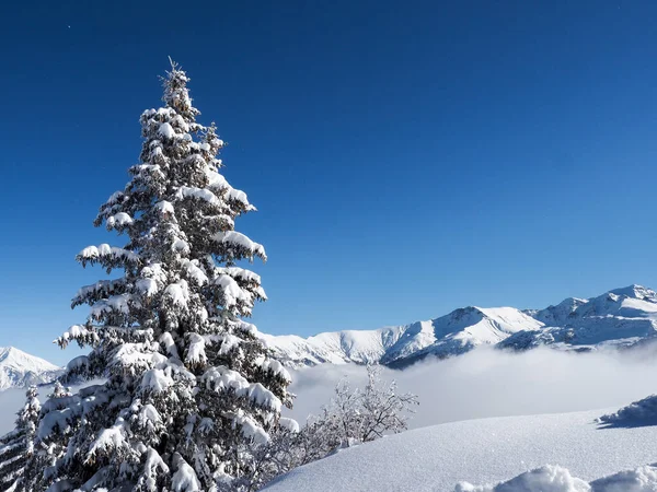 Schamserberg Suíça Paisagem Inverno Parque Natural Schamserberg Piz Beverin — Fotografia de Stock