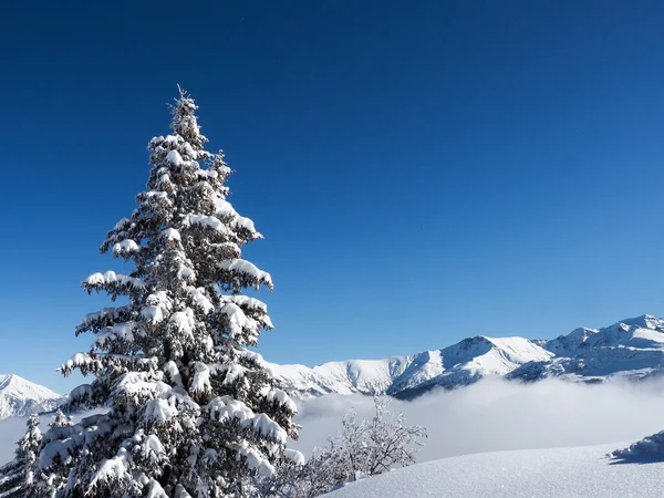 Schamserberg Zwitserland Winterlandschap Van Natuurpark Schamserberg Piz Beverin — Stockfoto