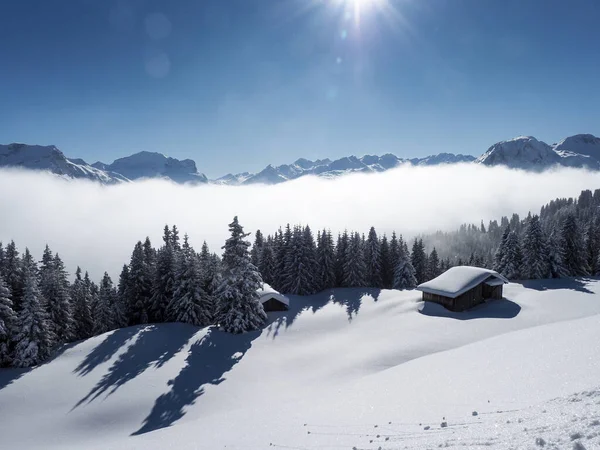 Schamserberg Switzerland Winter Landscape Schamserberg Piz Beverin Nature Park — 图库照片