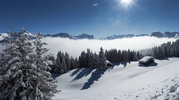 Schamserberg Švýcarsko Zimní Krajina Přírodního Parku Schamserberg Piz Beverin — Stock fotografie