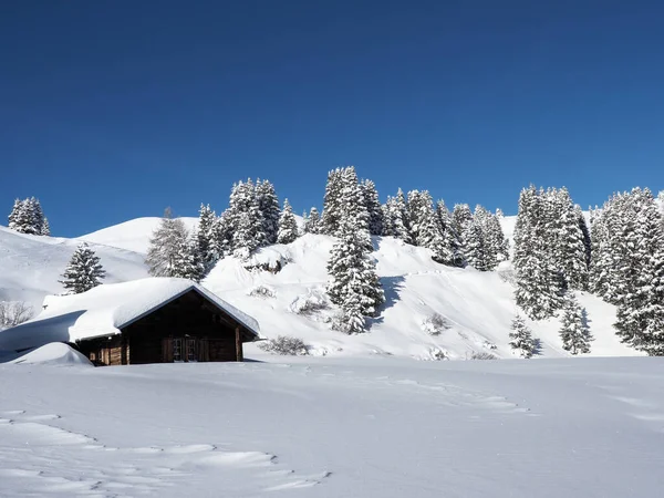 Schamserberg Switzerland Winter Landscape Schamserberg Piz Beverin Nature Park — 图库照片