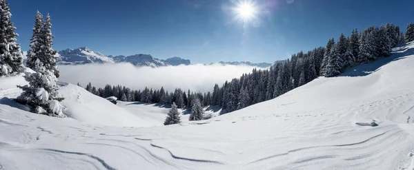 Schamserberg Švýcarsko Zimní Krajina Přírodního Parku Schamserberg Piz Beverin — Stock fotografie