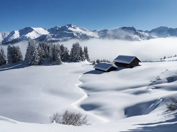 Schamserberg Szwajcaria Zimowy Krajobraz Parku Przyrody Schamserberg Piz Beverin — Zdjęcie stockowe