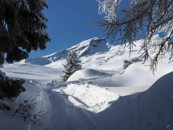 Schamserberg Schweiz Vinterlandskap Schamserberg Och Piz Beverin Naturpark — Stockfoto