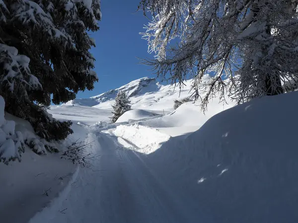 Schamserberg Zwitserland Winterlandschap Van Natuurpark Schamserberg Piz Beverin — Stockfoto