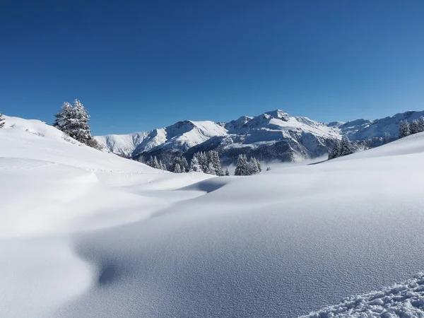 Schamserberg Zwitserland Winterlandschap Van Natuurpark Schamserberg Piz Beverin — Stockfoto