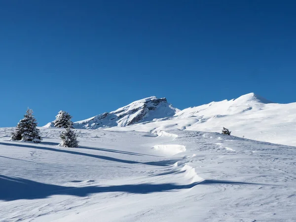 スイスのSchamserberg SchamserbergとPiz Beverin自然公園の冬の風景 — ストック写真