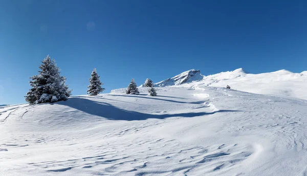 スイスのSchamserberg SchamserbergとPiz Beverin自然公園の冬の風景 — ストック写真