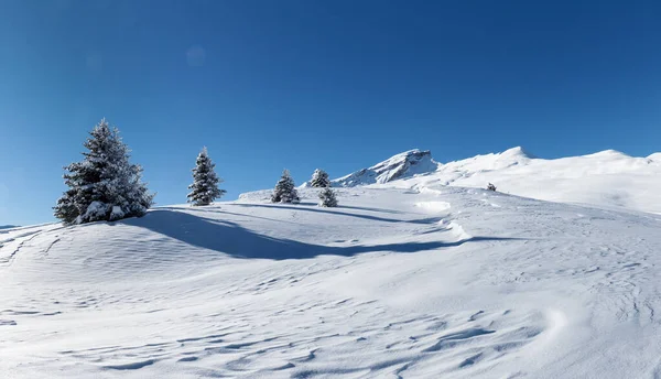 Schamserberg Zwitserland Winterlandschap Van Natuurpark Schamserberg Piz Beverin — Stockfoto