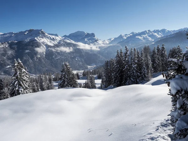 スイスのSchamserberg SchamserbergとPiz Beverin自然公園の冬の風景 — ストック写真