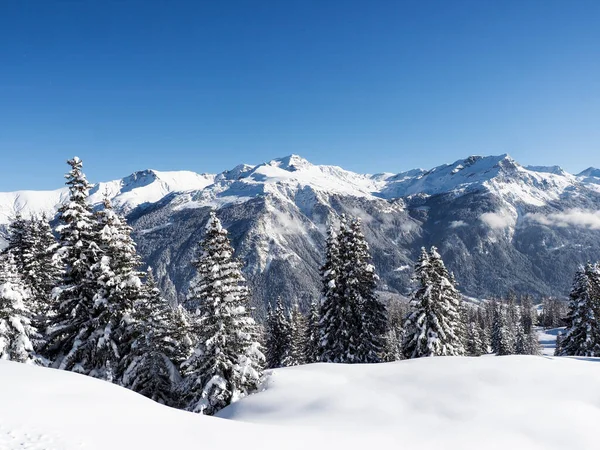 スイスのSchamserberg SchamserbergとPiz Beverin自然公園の冬の風景 — ストック写真