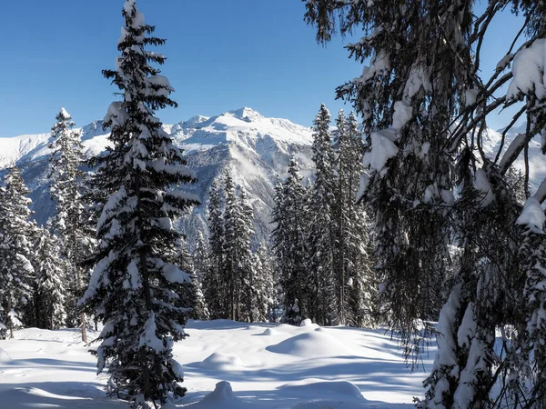 Schamserberg Sviçre Schamserberg Piz Beverin Doğa Parkının Kış Manzarası — Stok fotoğraf
