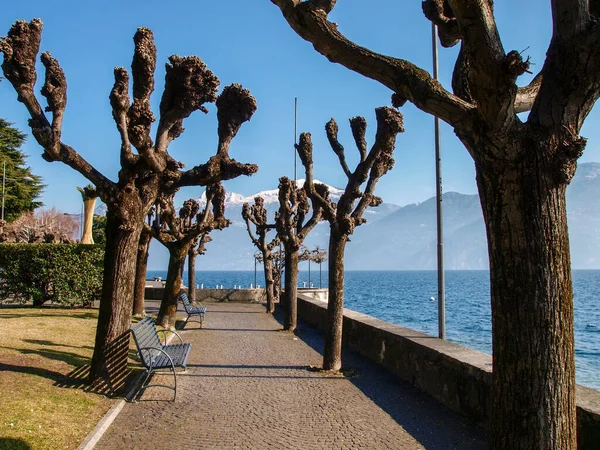 Menaggio Italia Lakefront Edificios Históricos Famosa Ciudad —  Fotos de Stock