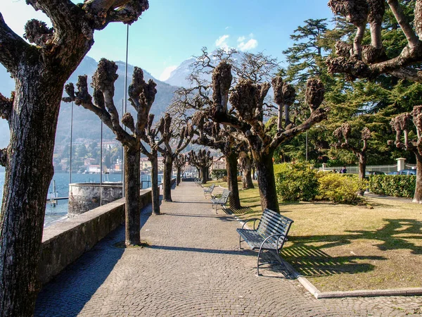 Menaggio Italia Lungomare Palazzi Storici Della Famosa Città — Foto Stock