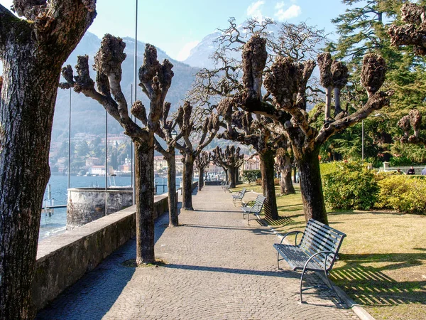 イタリアのメナッジョ 有名な町の湖畔と歴史的建造物 — ストック写真