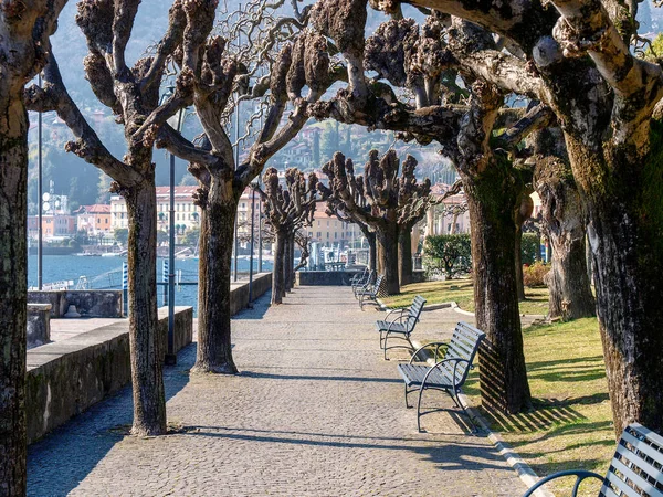 Menaggio Italy Lakefront Historic Buildings Famous Town — Stock Photo, Image