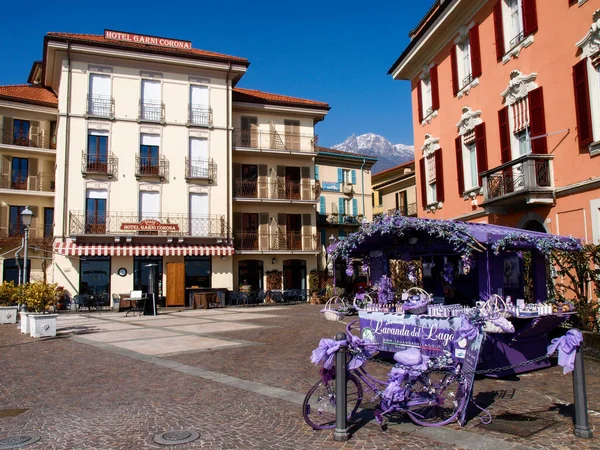 Menaggio Itália Março 2018 Bicicleta Roxa Perto Loja Produtos Lavanda — Fotografia de Stock