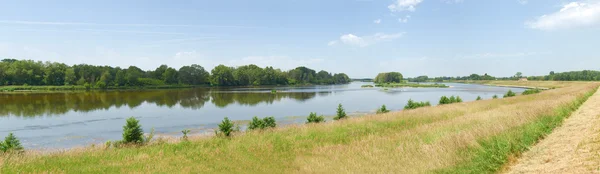 The river Loire — Stock Photo, Image