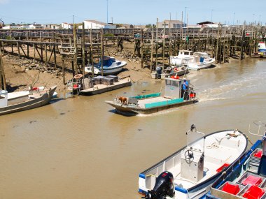Port aux Brochets de Bouin