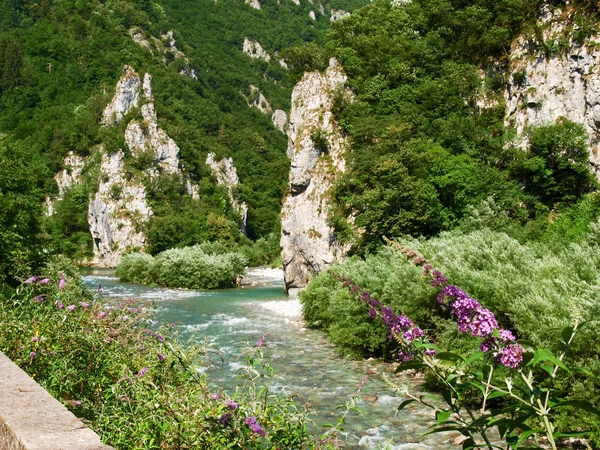 Val Brembana, direction of Passo San Marco — Stock Photo, Image