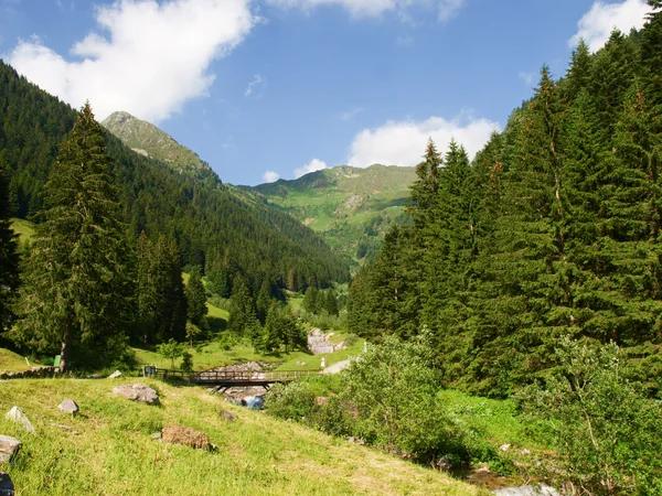 Val brembana, Richtung passo san marco — Stockfoto