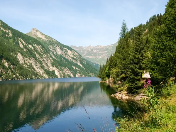 Lago de ancião — Fotografia de Stock